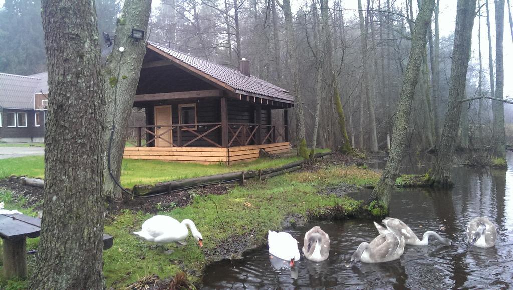 Poilsio Baze Guest House Latežeris Eksteriør bilde