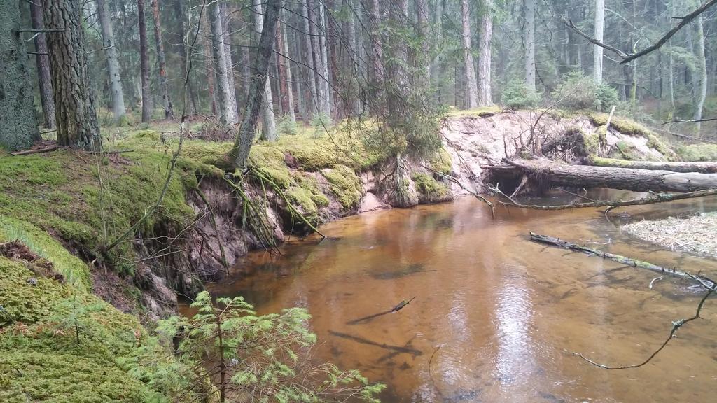 Poilsio Baze Guest House Latežeris Eksteriør bilde